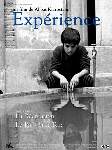 Жизненный опыт (1973)